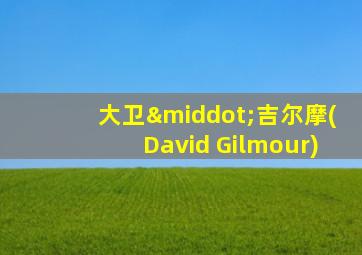 大卫·吉尔摩(David Gilmour)